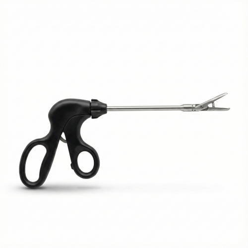 Gemini_Generated_Image_5ha6ae5ha6ae5ha6